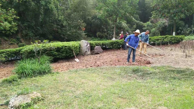 室内垂直绿化工程费用：影响因素与预算规划**