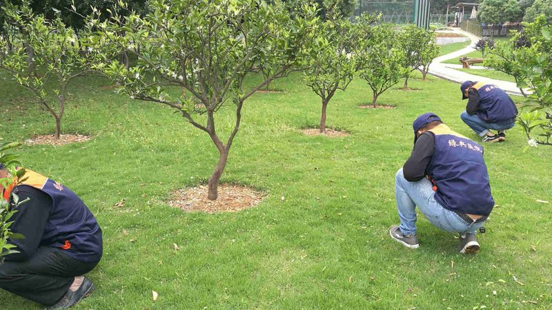 大型企业绿植租摆，如何避免陷入误区？**