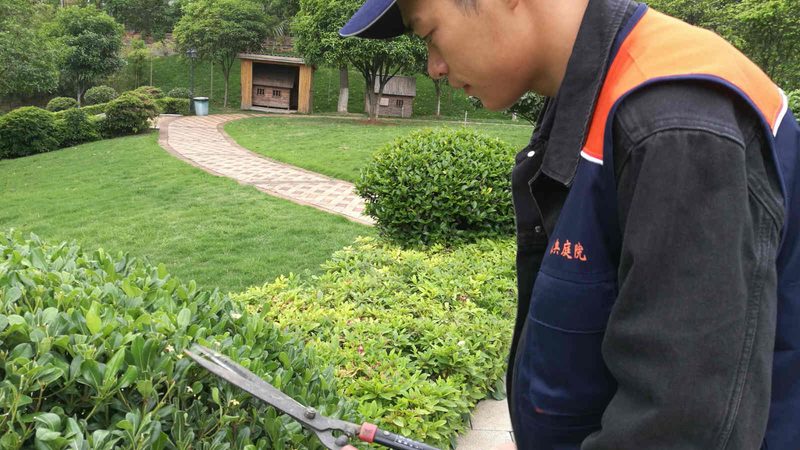 屋顶绿化，排水板的选择关键**