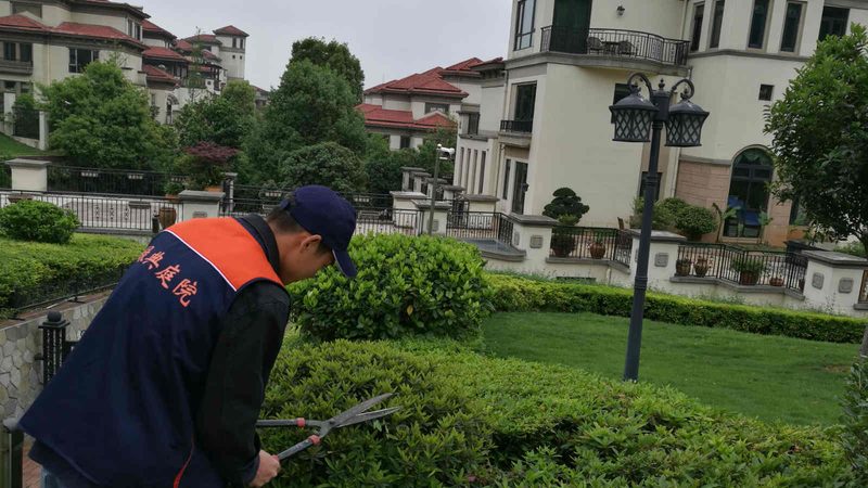北京绿植租赁定制方案：打造绿色生态的智慧选择**