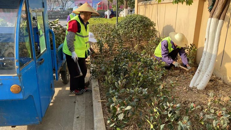 花卉租摆植物病虫害防治，这些方法你掌握了吗？**