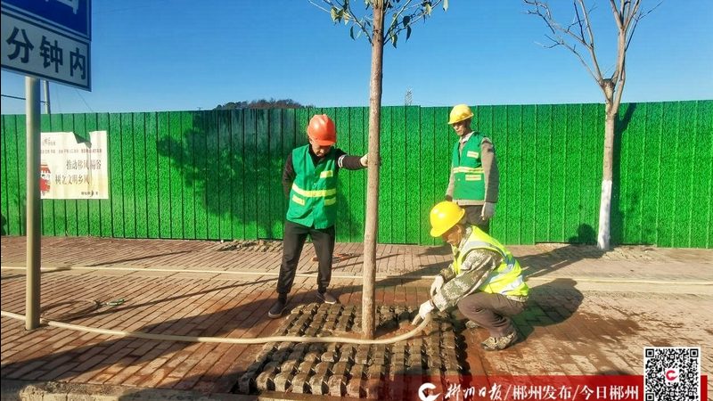 草坪铺设安装，费用构成解析