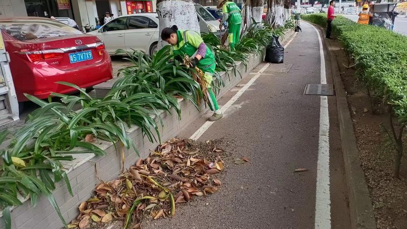 边坡喷播植草：成本核算的关键要素**