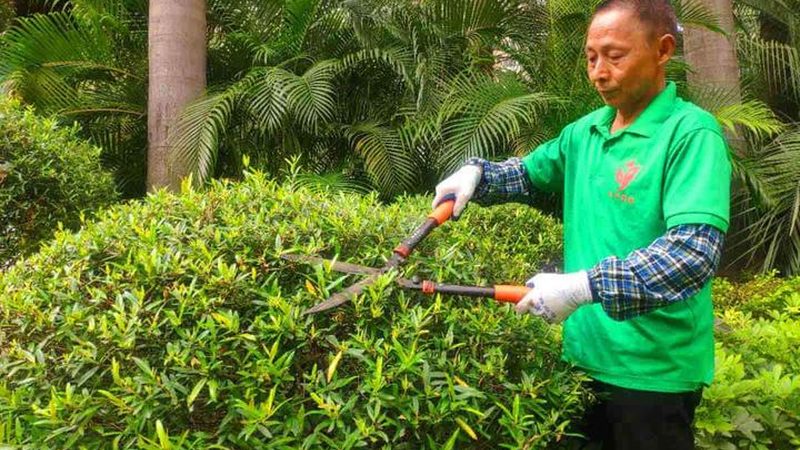 园林绿化工程招标报价流程解析**