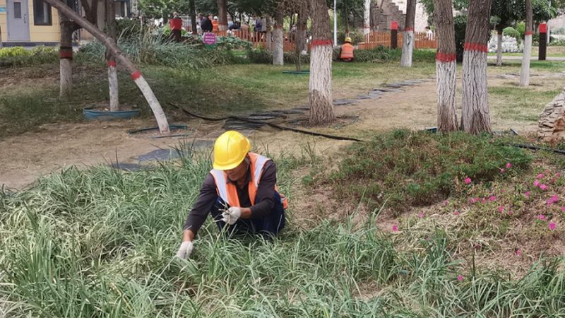 新中式庭院景观设计：成都风格与传统文化融合的艺术