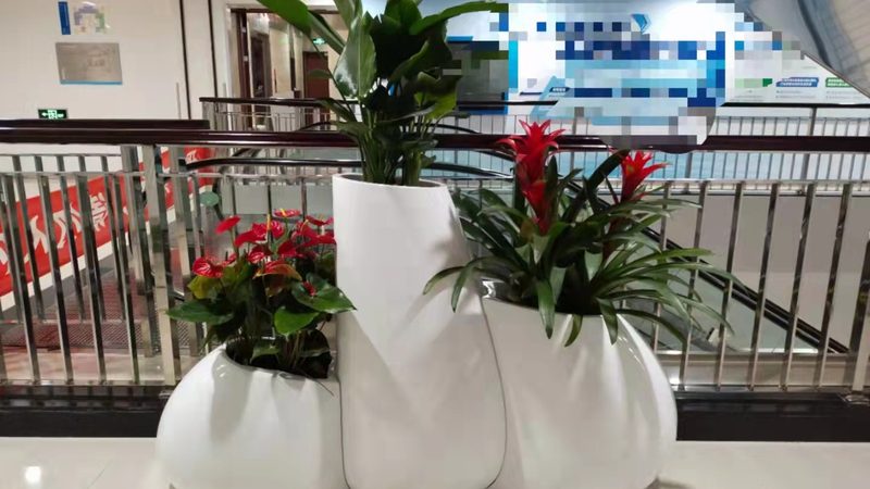 生态植物墙定制：打造绿色空间的秘密武器