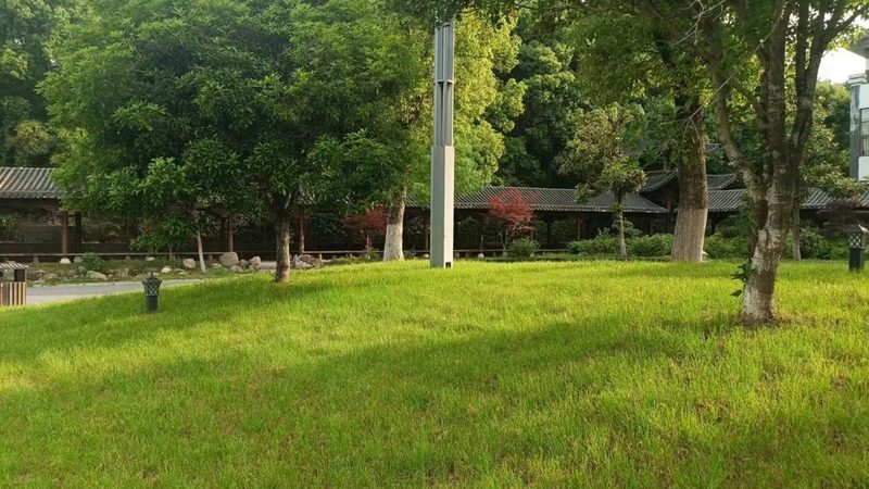 四川边坡绿化客土喷播机：揭秘高效边坡绿化的秘密武器**